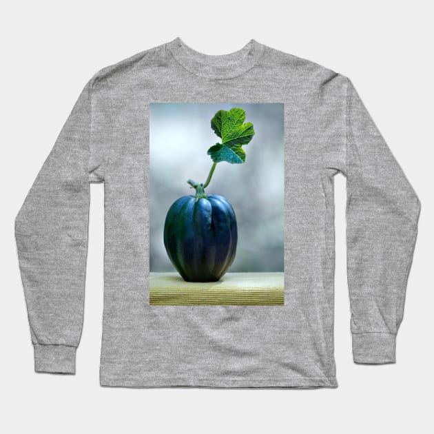 Acorn Squash with leaf Long Sleeve T-Shirt by LaurieMinor